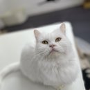 베키보육원 이미지