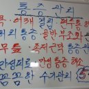 하늘약손 네이버블로그