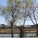 굽네치킨송천에코 이미지