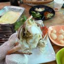 섬마을조개구이 | 왜목마을 친절한 조개구이맛집 섬마을횟집 내돈내산 솔직후기
