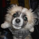 대곡파출소 이미지