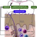 아토피 피부염(습진)과 피부 세균총(skin microbiome) 논문... 이미지