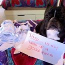 라온제나 이미지