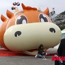 엘리트 한우 이미지