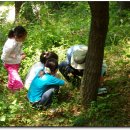 삼정초등학교 이미지