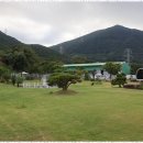 펫더가든 이미지