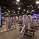 스포애니 공릉점 | 6년간 입증된 신뢰 있는 공릉역 헬스장! 스포애니 공릉동점