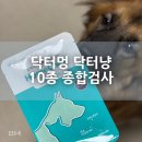 닥터멍 닥터냥 10종 종합검사 키트로 반려견 건강 체크 직접 해본 후기 :)