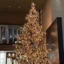 안이하우스 | 그랜드하얏트서울 스테이크 하우스 크리스마스 디너 예약 후기(2024 ver)