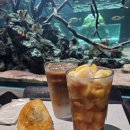 일중로 | 데이트하기 좋았던 아쿠아가든 일산 수족관 카페 자세한 후기