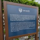 파주 가볼만한 곳, 임진각 평화 곤돌라 &amp; 캠프그리브스 리얼 후기 (평화관광 꿀팁)