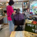 수주머리나라 이미지