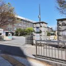 국화한신 이미지