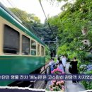 "열 번도 넘게 왔어요"…'일본 여행'에 푹 빠진 한국인들 이미지