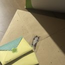 골드킹 PC방 | 따듯함을 넘어 뜨거웠던 7월