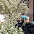 호텔그랜드스위트 이미지