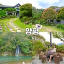 양평군 건강관리중앙센터 | 양평 카페 내추럴가든529 대형 정원 서울근교 데이트코스