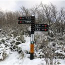 2월18일 전북 진안 운장산(1,126m) 산행 안내 이미지