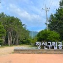 장산조경