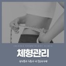 체형관리 티스토리