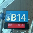 라뉘호텔 | [허니문] 모리셔스 신혼여행 1일차_르몽산뷰 세인트레지스 호텔_2일차 돌고래투어 &amp; 카젤라파크