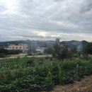 농소2동 주민센터 이미지