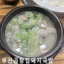 부산곱창집돼지국밥 | [해운대 애견동반 식당] 24시간 언제든 든든한 ‘부산곱창집돼지국밥’ 후기!
