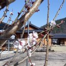 하늘땅민박 이미지