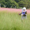 가을농원 이미지