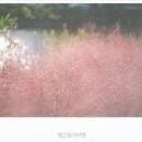 검한1길 이미지