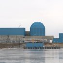 meta plant 이미지