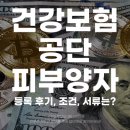 건강보험공단 | 건강보험공단 피부양자 등록 후기 조건 서류는?