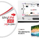 [(주)KT스카이라이프] 〈사랑의 안테나_UHD TV 및 위성방송 지원사업＞ 3분기 신청안내(8월19일까지) 이미지