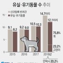 피시포유 이미지