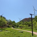 이마트24 R 영덕점 이미지