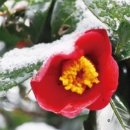 (유)장흥교통 이미지