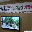 백상기농장 네이버블로그