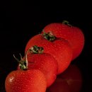 댕댕이밥상 | 강아지 밥상 고민 끝! 모르면 손해 보는 꿀레시피 정리해 드려요