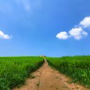 천북목장 이미지