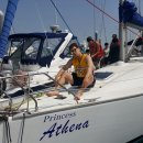 펄스코리아 이미지