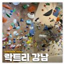 강남: 락트리 클라이밍 | 지구력 맛집 강남 클라이밍장 후기
