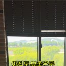 씨네라떼