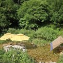 포레스트밸리 이미지