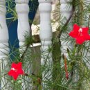 두평농장 이미지