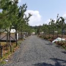 서천갯벌체험글램핑 이미지