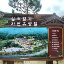 삼척활기자연휴양림 이미지