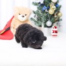 키즈멍 안양본점 이미지