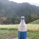 동해민박 | [삼척/하늘솔황토민박] 강원도 촌캉스 에어비앤비 감성숙소 후기