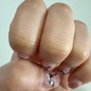 네일 블라썸 | 제천 뷰티블라썸 네일 유지력 후기｜3주 후 상태 &amp; 재방문후기