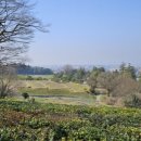 슈가휴게실 이미지